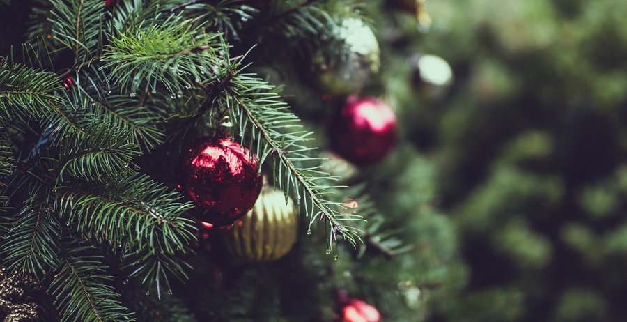 Moderné vianočné stromčeky - toto sú trendy týchto Vianoc 